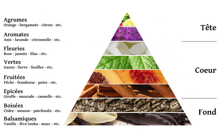 pyramide olfactive