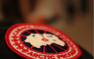 Canada Goose
